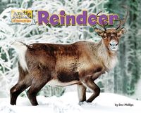 Produktbild: Reindeer