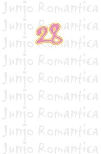 Produktbild: Junjo Romantica 28