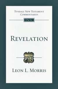 Produktbild: Comt-Tyn Nt Revelation