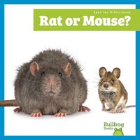 Produktbild: Rat or Mouse?