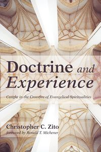Produktbild: Doctrine and Experience