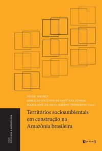 Produktbild: Territ&oacute;rios socioambientais em constru&ccedil;&atilde;o na Amaz&ocirc;nia brasileira