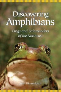 Produktbild: Discovering Amphibians