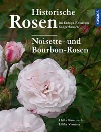Produktbild: Historische Rosen im Europa Rosarium Sangerhausen: Noisette- und Bourbon-Rosen