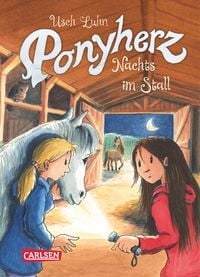 Produktbild: Nachts im Stall / Ponyherz Band 6