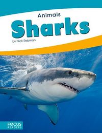 Produktbild: Sharks