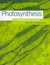Produktbild: Photosynthesis