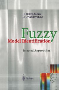 Produktbild: Fuzzy Model Identification
