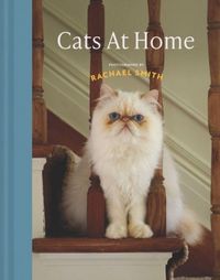 Produktbild: Cats at Home