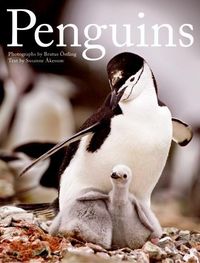 Produktbild: Penguins