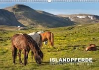 Produktbild: Islandpferde: Gef&auml;hrten der Wikinger (Wandkalender immerw&auml;hrend DIN A3 quer)