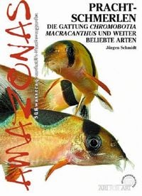 Produktbild: Prachtschmerlen