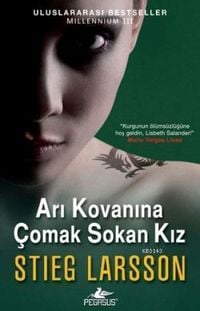 Bild vom Artikel Ari Kovanina Comak Sokan Kiz vom Autor Stieg Larsson