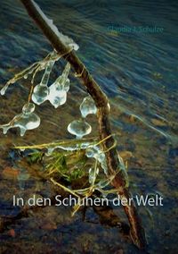 Produktbild: In den Schuhen der Welt
