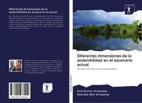 Produktbild: Diferentes dimensiones de la sostenibilidad en el escenario actual
