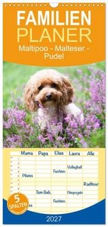 Produktbild: Familienplaner 2027 - Maltipoo - Malteser -Pudel mit 5 Spalten (Wandkalender, 21 x 45 cm) CALVENDO
