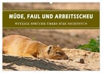 Produktbild: M&uuml;de, faul und arbeitsscheu (Wandkalender 2026 DIN A2 quer), CALVENDO Monatskalender
