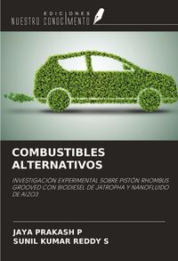 Produktbild: Combustibles Alternativos