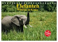 Produktbild: Elefanten . Wildlife in Kenia (Tischkalender 2026 DIN A5 quer), CALVENDO Monatskalender