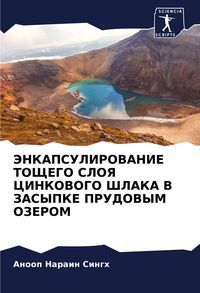 Produktbild: Jenkapsulirovanie Toshhego Sloya Cinkovogo Shlaka V Zasypke Prudovym Ozerom