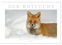 Produktbild: Der Rotfuchs (Wandkalender 2027 DIN A3 quer), CALVENDO Monatskalender
