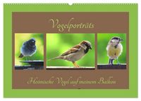 Produktbild: Vogelportr&auml;ts - Heimische V&ouml;gel auf meinem Balkon (Wandkalender 2026 DIN A2 quer), CALVENDO Monatskalender