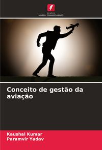 Produktbild: Conceito de gest&atilde;o da avia&ccedil;&atilde;o