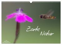 Produktbild: Zarte Natur 2027 (Wandkalender 2027 DIN A3 quer), CALVENDO Monatskalender