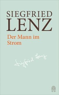 Produktbild: Der Mann im Strom