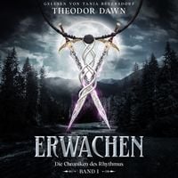 Produktbild: ERWACHEN - Die Chroniken des Rhythmus