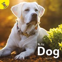 Produktbild: Dog