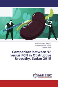 Produktbild: Comparison between 'JJ' versus PCN in Obstructive Uropathy, Sudan 2015