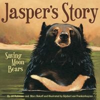 Produktbild: Jasper's Story