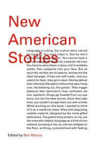 Produktbild: New American Stories