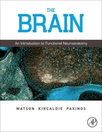 Produktbild: The Brain