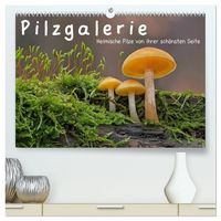 Produktbild: Pilzgalerie - Heimische Pilze von ihrer sch&ouml;nsten Seite (hochwertiger Premium Wandkalender 2027 DIN A2 quer), Kunstdruck in Hochglanz