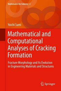 Produktbild: Mathematical and Computational Analyses of Cracking Formation