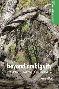 Produktbild: Beyond ambiguity