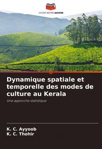 Produktbild: Dynamique spatiale et temporelle des modes de culture au Kerala