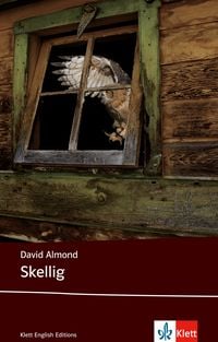 Produktbild: Skellig