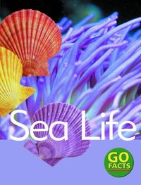 Produktbild: Pike, K: Sea Life