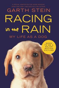 Produktbild: Racing in the Rain
