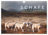 Produktbild: Schafe - Raues Wetter, weiche Wolle (Wandkalender 2026 DIN A4 quer), CALVENDO Monatskalender