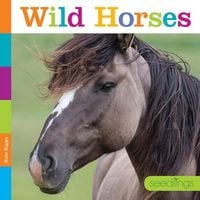 Produktbild: Wild Horses