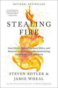 Produktbild: Stealing Fire