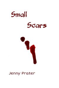 Produktbild: Small Scars