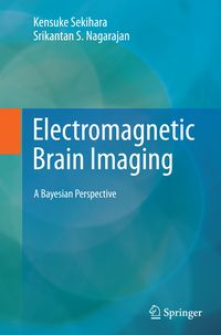 Produktbild: Electromagnetic Brain Imaging
