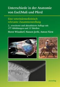Produktbild: Unterschiede in der Anatomie von Esel/Muli und Pferd