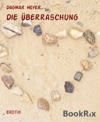 Produktbild: Die &Uuml;berraschung