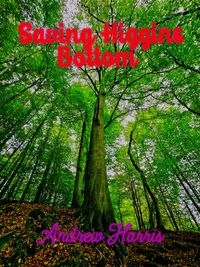 Produktbild: Saving Higgins Bottom
